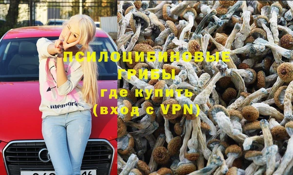 тгк Белокуриха