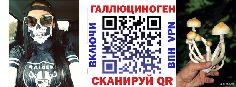 Псилоцибиновые грибы Cubensis  Тюкалинск 